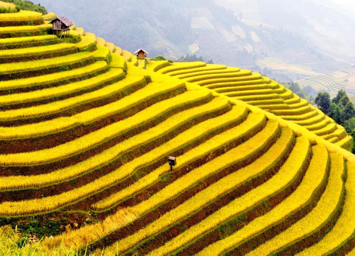 '.stripslashes($title).' Khuyến mại tour du lịch Sapa